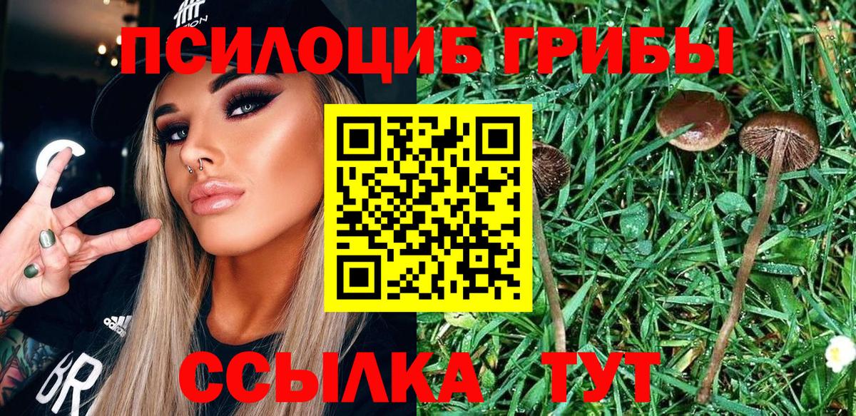 Кандалакша  Конопля  Меф   Амфетамин   Меф МЯУ МЯУ кристаллы  Alpha PVP СК   МЕТАМФЕТАМИН 