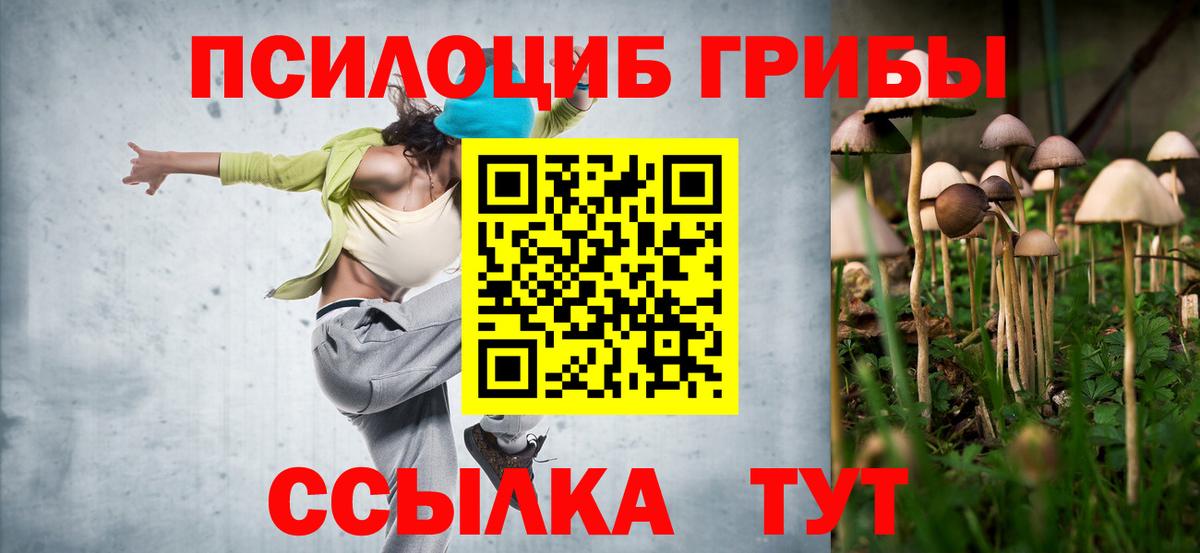 даркнет сайт  Псилоцибиновые грибы Psilocybe  Кандалакша  Псилоцибиновые грибы Psilocybe 
