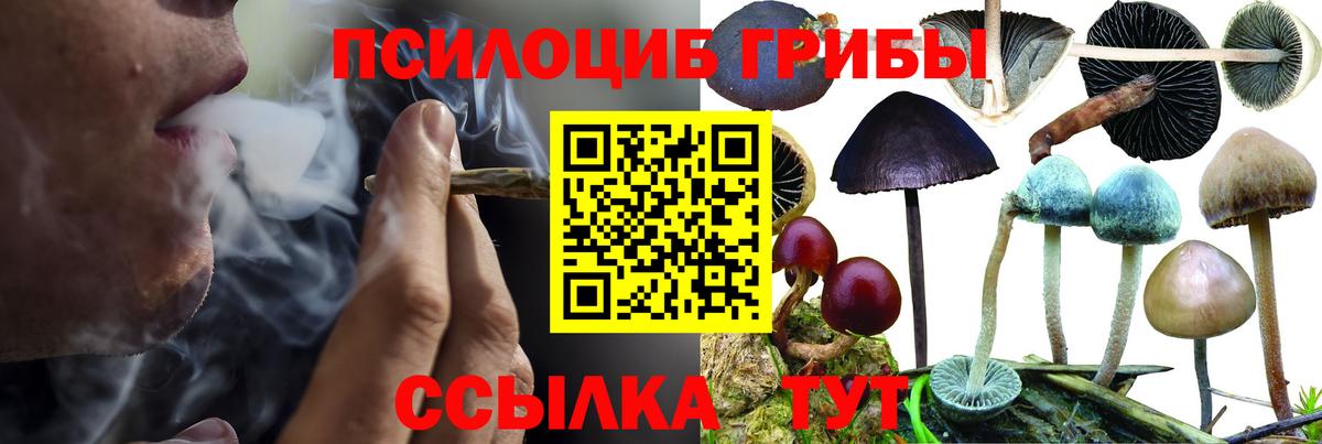 Псилоцибиновые грибы GOLDEN TEACHER Кандалакша
